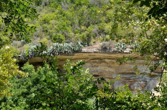 Barton Creek Greenbelt