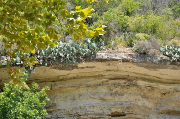 Barton Creek Greenbelt