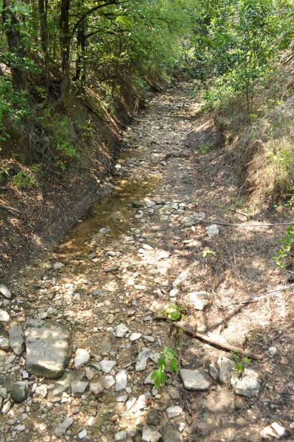 Barton Creek Greenbelt